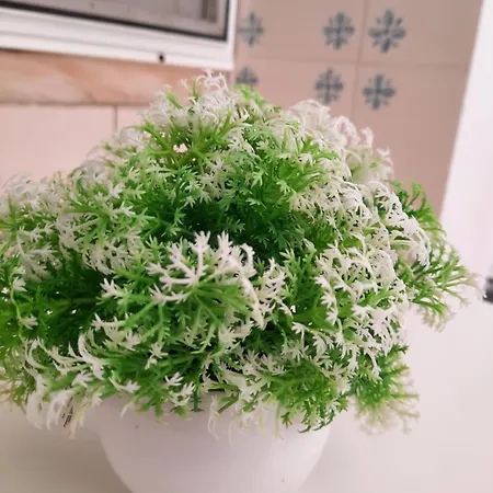 Auberge de jeunesse Blife & District de Faro