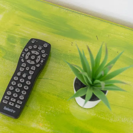 Blife & Vandrarhem Faro