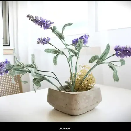 Blife Hostel&rooms *