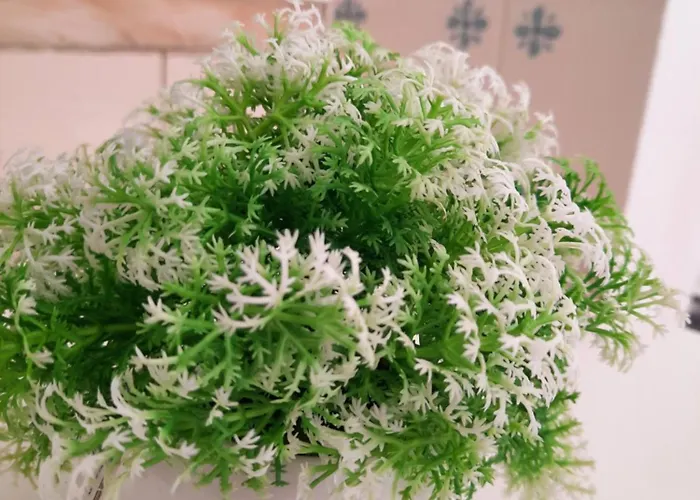 Auberge de jeunesse Blife & District de Faro